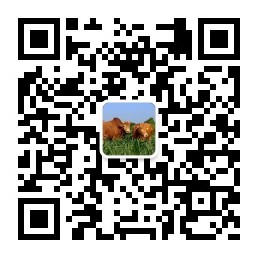 掃碼關注微(wēi)信公衆号